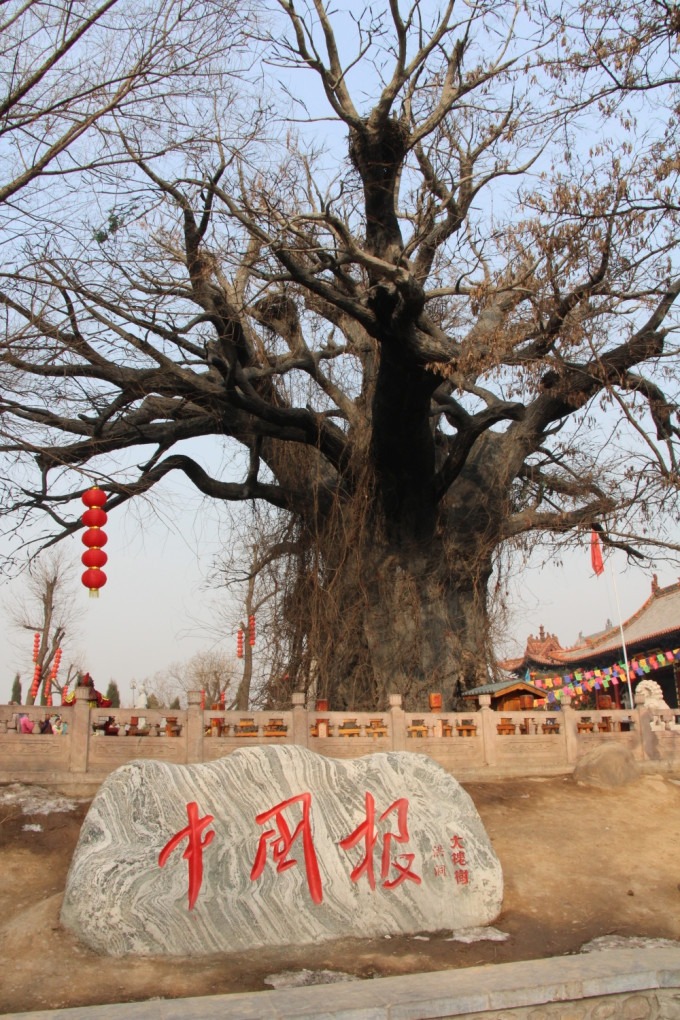 洪洞大槐树景区